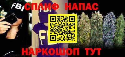 гашик Пугачёв