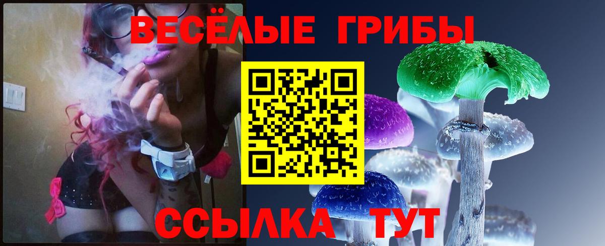 Прокопьевск  наркотики  Галлюциногенные грибы прущие грибы  Вход с VPN  Псилоцибиновые грибы GOLDEN TEACHER 